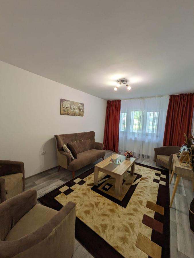 Apartment Apartamentul Alfa Slanic Moldova