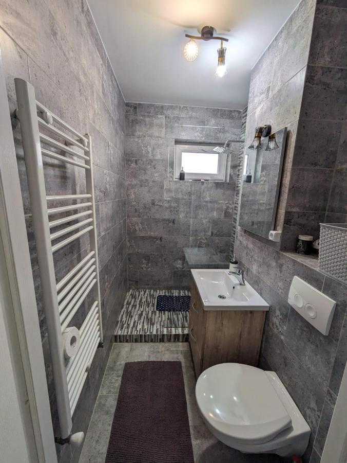 Apartamentul Alfa * Slanic Moldova