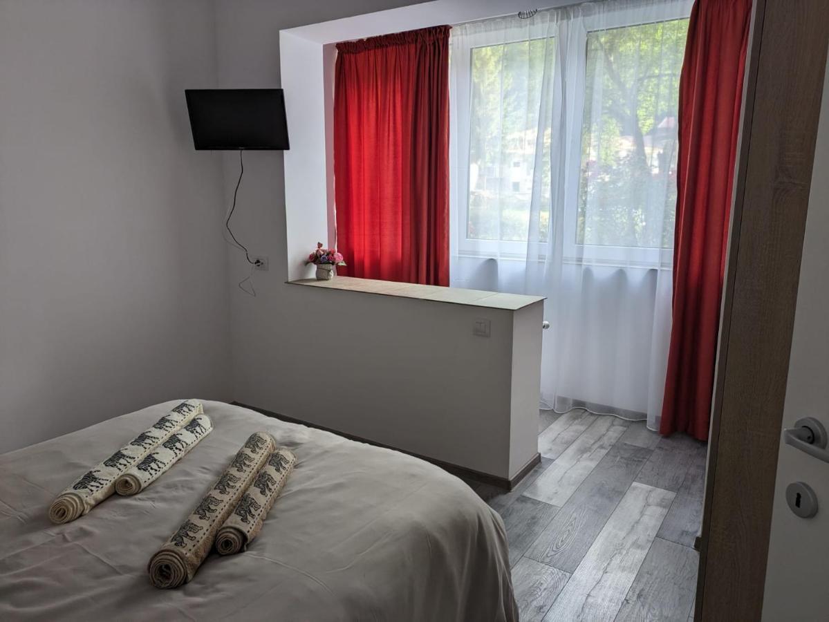 Apartamentul Alfa Slanic Moldova