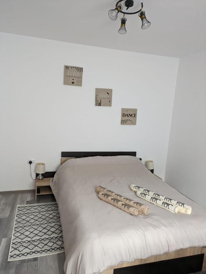 Apartamentul Alfa Slanic Moldova